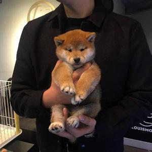 久久永久免费人妻精品下载
